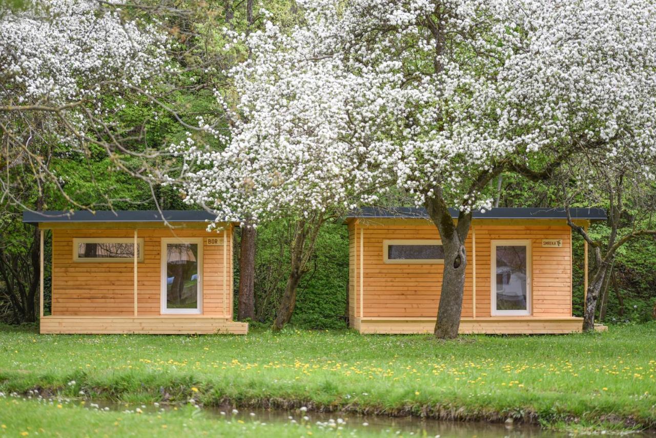 Kamp Na Otoku - Ljubno Ob Savinji Hotell Eksteriør bilde
