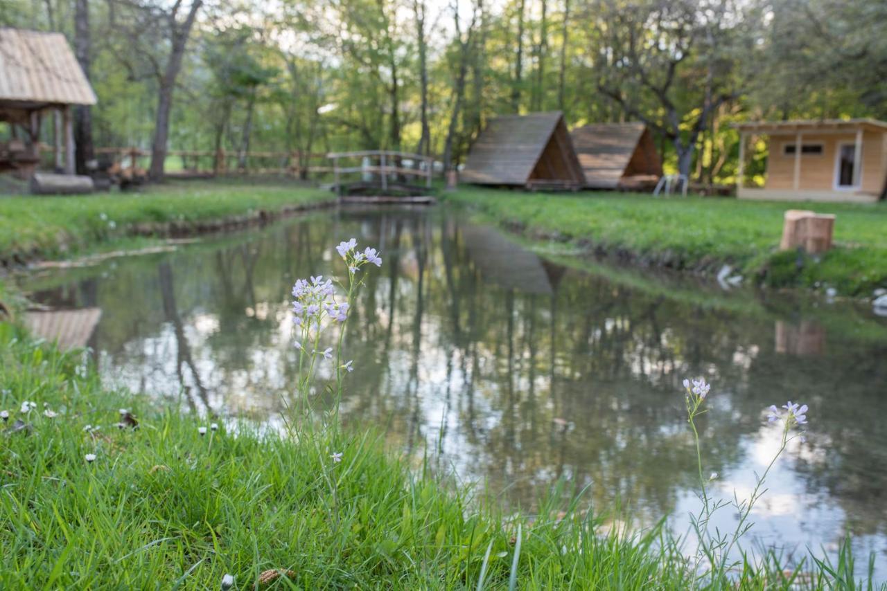 Kamp Na Otoku - Ljubno Ob Savinji Hotell Eksteriør bilde