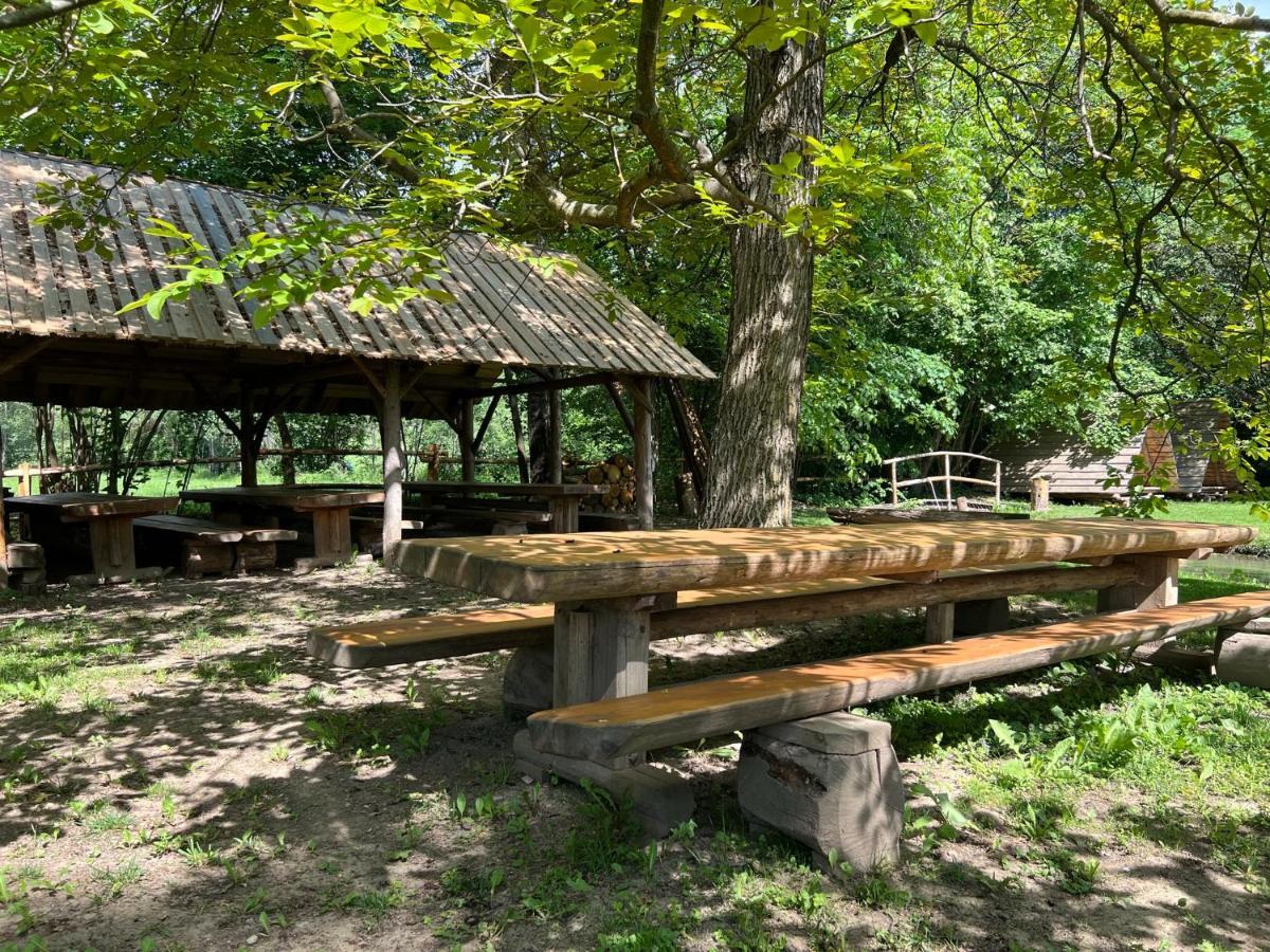 Kamp Na Otoku - Ljubno Ob Savinji Hotell Eksteriør bilde